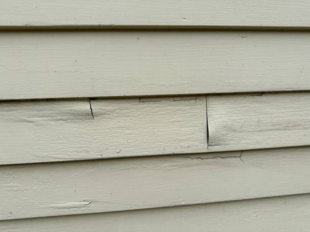 Best Siding Maintenance  in Newman, CA